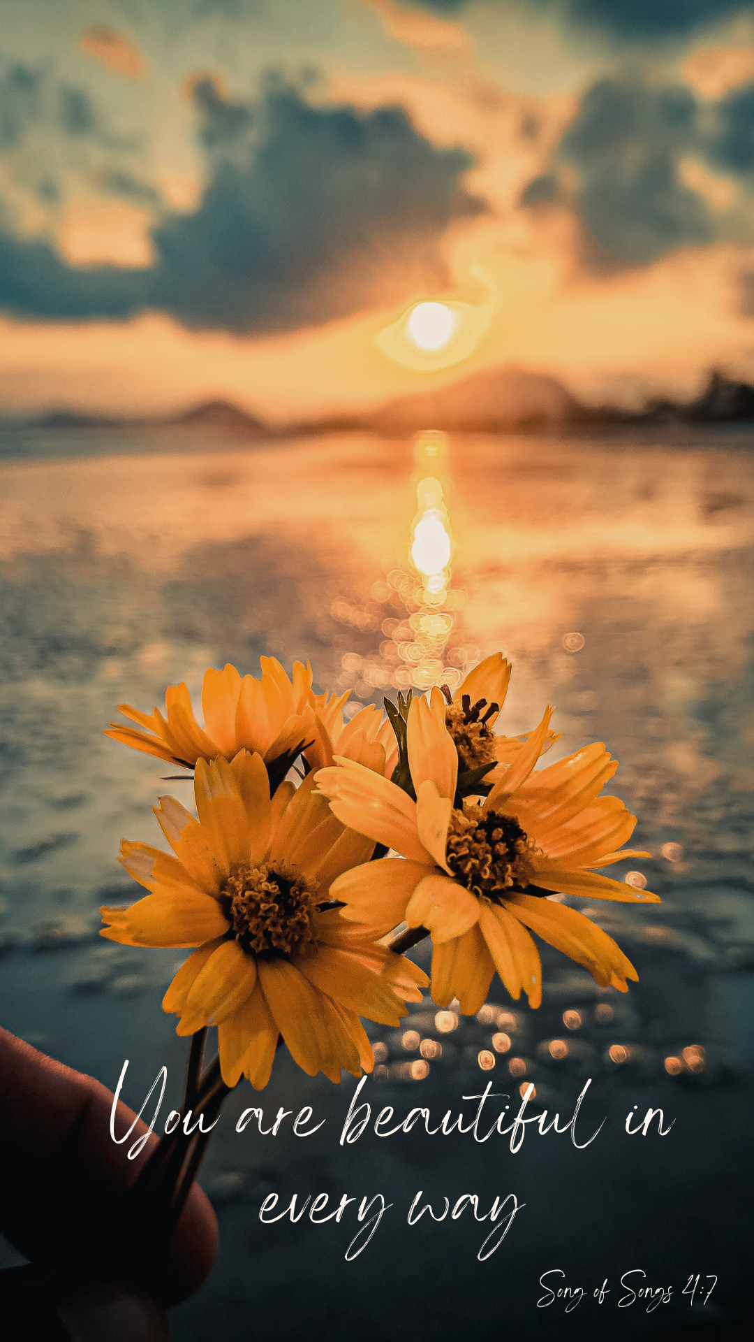 Song of Songs Wallpaper